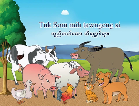 Tuk Som Mih Tawnngeng Si.pdf